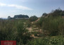 Morizon WP ogłoszenia | Działka na sprzedaż, Drogomyśl, 11500 m² | 5834