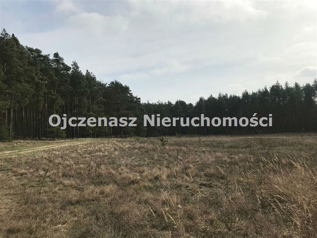 Morizon WP ogłoszenia | Działka na sprzedaż, Czarże, 10251 m² | 3208