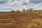 Morizon WP ogłoszenia | Działka na sprzedaż, Pisary, 12166 m² | 6770