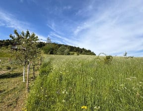 Działka na sprzedaż, Przyszowa, 1500 m²