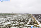Morizon WP ogłoszenia | Działka na sprzedaż, Sieciechowice, 3332 m² | 9988