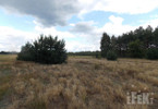 Morizon WP ogłoszenia | Działka na sprzedaż, Grabce-Towarzystwo, 2670 m² | 6181