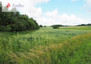 Morizon WP ogłoszenia | Działka na sprzedaż, Dobrzyniewo Kościelne, 3000 m² | 8324