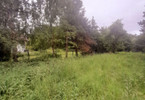 Morizon WP ogłoszenia | Działka na sprzedaż, Stare Wierzbno, 3620 m² | 5258