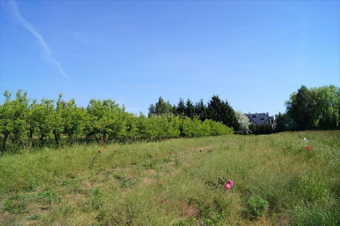 Morizon WP ogłoszenia | Działka na sprzedaż, Głębocko, 23496 m² | 6592