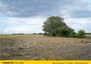 Morizon WP ogłoszenia | Działka na sprzedaż, Szewce, 1402 m² | 6441