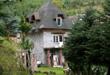 Dom na sprzedaż, Pieszyce Lasocin, 340 m²