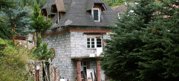 Dom na sprzedaż 340m2 dzierżoniowski Pieszyce Lasocin - zdjęcie 1