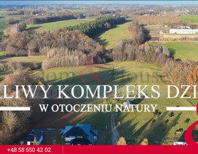 Działka na sprzedaż, Przodkowo, 13040 m²