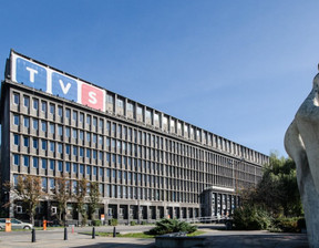 Magazyn do wynajęcia, Katowice Plac Grunwaldzki, 259 m²