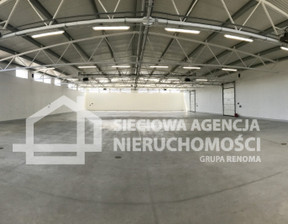 Hala do wynajęcia, Gdańsk Letnica, 520 m²