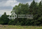 Działka na sprzedaż, Borkowo, 16855 m² | Morizon.pl | 0619 nr5