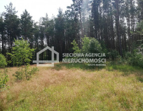 Działka na sprzedaż, Przodkowo, 6400 m²