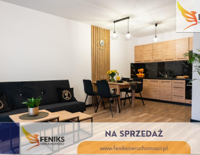 Mieszkanie na sprzedaż, Elbląg Łęczycka, 45 m²