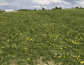 Działka na sprzedaż, Szaflary, 1000 m²