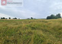 Morizon WP ogłoszenia | Działka na sprzedaż, Radziszów, 978 m² | 4752