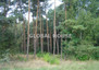Morizon WP ogłoszenia | Działka na sprzedaż, Florentynów, 15515 m² | 5746