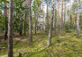 Morizon WP ogłoszenia | Działka na sprzedaż, Sękocin-Las, 2100 m² | 9362