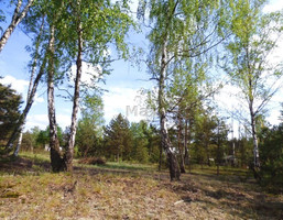 Morizon WP ogłoszenia | Działka na sprzedaż, Michałów-Reginów, 1460 m² | 2561