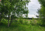 Morizon WP ogłoszenia | Działka na sprzedaż, Stary Imielnik, 12000 m² | 4919