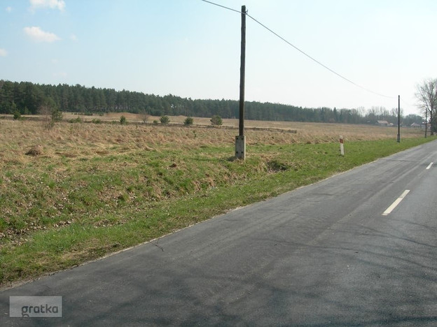 Morizon WP ogłoszenia | Działka na sprzedaż, Tarnowo Podgórne, 100000 m² | 1146