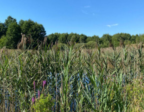 Działka na sprzedaż, Żabi Róg, 3053 m²