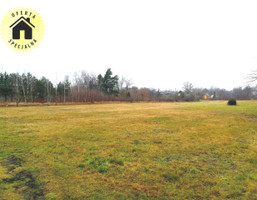 Morizon WP ogłoszenia | Działka na sprzedaż, Klaudyn, 5770 m² | 8312