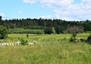 Morizon WP ogłoszenia | Działka na sprzedaż, Wójtowo, 1253 m² | 8138