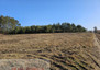Morizon WP ogłoszenia | Działka na sprzedaż, Czernikowo, 3000 m² | 6611