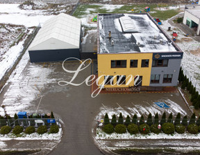 Komercyjne na sprzedaż, Maszewo, 575 m²