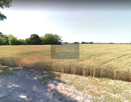 Morizon WP ogłoszenia | Działka na sprzedaż, Konotopa, 8500 m² | 0957