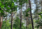 Morizon WP ogłoszenia | Działka na sprzedaż, Józefów, 2600 m² | 7283