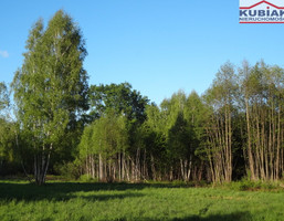 Morizon WP ogłoszenia | Działka na sprzedaż, Radonie, 3000 m² | 0748