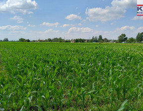 Działka na sprzedaż, Żaby, 15207 m²