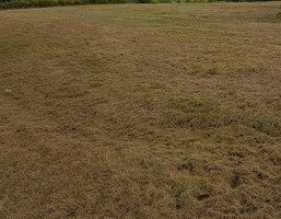 Morizon WP ogłoszenia | Działka na sprzedaż, Koźmice Wielkie, 7300 m² | 6324