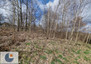 Morizon WP ogłoszenia | Działka na sprzedaż, Chorowice, 9700 m² | 2345