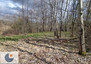 Morizon WP ogłoszenia | Działka na sprzedaż, Chorowice, 9700 m² | 2345
