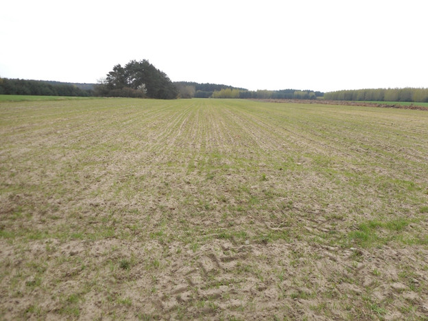 Morizon WP ogłoszenia | Działka na sprzedaż, Warszawa Kępa Zawadowska, 5000 m² | 2035