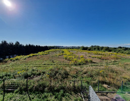 Morizon WP ogłoszenia | Działka na sprzedaż, Krosinko Magnoliowa, 1554 m² | 0672