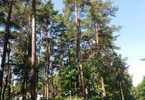 Morizon WP ogłoszenia | Działka na sprzedaż, Magdalenka, 2044 m² | 3413