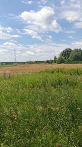 Morizon WP ogłoszenia | Działka na sprzedaż, Lesznowola Jedności, 10400 m² | 6889