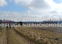 Morizon WP ogłoszenia | Działka na sprzedaż, Jaskrów, 878 m² | 5702