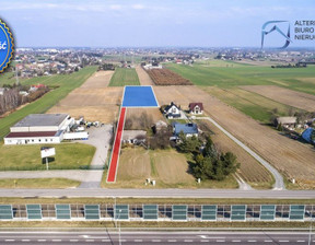 Działka na sprzedaż, Krępiec Piasecka, 5950 m²