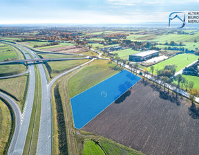 Działka na sprzedaż, Nowa Dąbia, 10300 m²