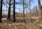 Morizon WP ogłoszenia | Działka na sprzedaż, Tarnowskie Góry, 1148 m² | 2241