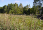 Morizon WP ogłoszenia | Działka na sprzedaż, Otwock, 7050 m² | 2872
