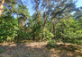 Morizon WP ogłoszenia | Działka na sprzedaż, Borzęcin Duży, 10100 m² | 4414