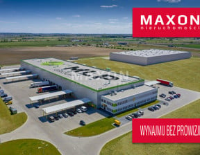 Magazyn do wynajęcia, Dąbrówka ul. Polna, 14000 m²