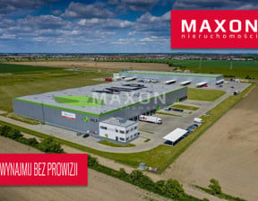 Magazyn do wynajęcia, Dąbrówka ul. Polna, 7600 m²