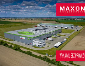 Magazyn do wynajęcia, Dąbrówka ul. Polna, 7600 m²